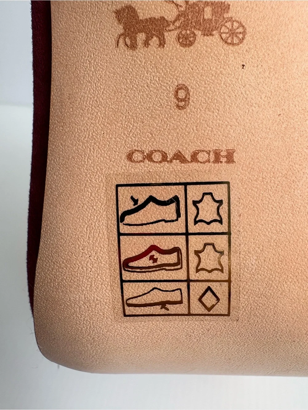 Coach size raspberry